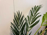 Butterfly palm kunstplant (180cm hoog) - afbeelding 2 van  14