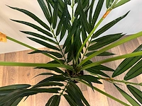 Butterfly palm kunstplant (180cm hoog) - afbeelding 11 van  14