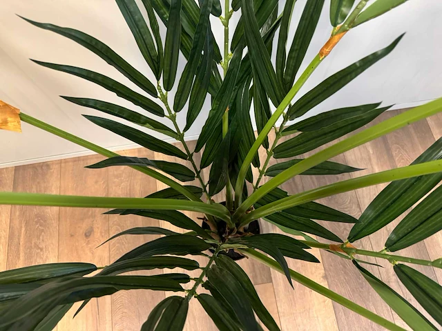 Butterfly palm kunstplant (180cm hoog) - afbeelding 9 van  12