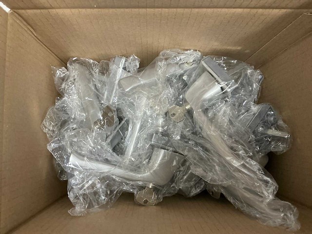 Buva - dk - 70c f1 - raamkruk (20x) - afbeelding 2 van  10