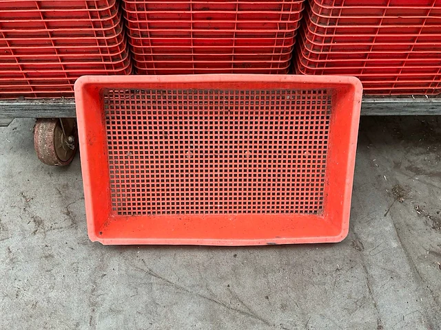 Bv 30x49x8,5 cm kweekbakken - afbeelding 1 van  9