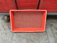 Bv 30x49x8,5 cm kweekbakken