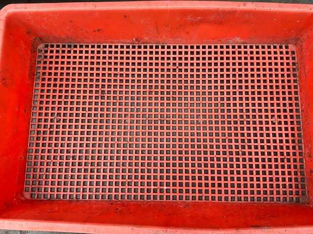 Bv 30x49x8,5 cm kweekbakken - afbeelding 3 van  9