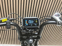 C28 groen elektrische fiets - afbeelding 24 van  57