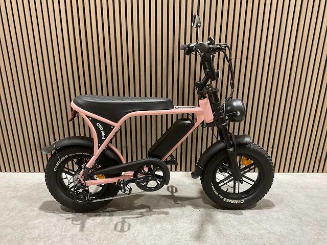 C80 mini roze elektrische fiets - afbeelding 15 van  62