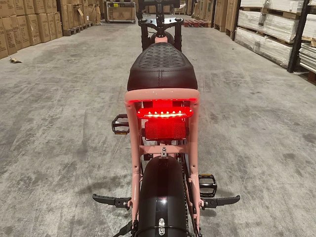 C80 mini roze elektrische fiets - afbeelding 4 van  21