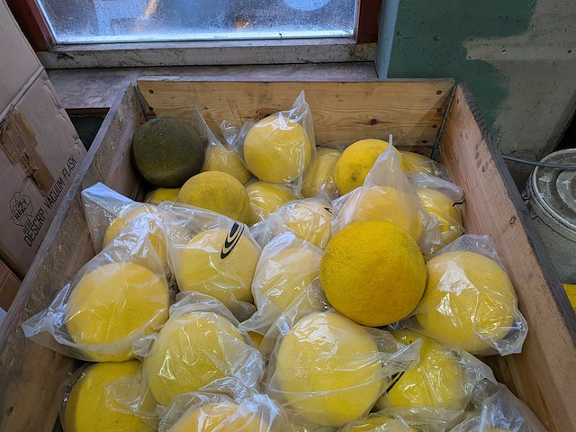 Ca 100x afsluiter geel - afbeelding 5 van  5