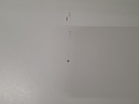 Ca. 10x bureau, ikea, wit - afbeelding 3 van  15