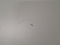 Ca. 10x bureau, ikea, wit - afbeelding 4 van  15