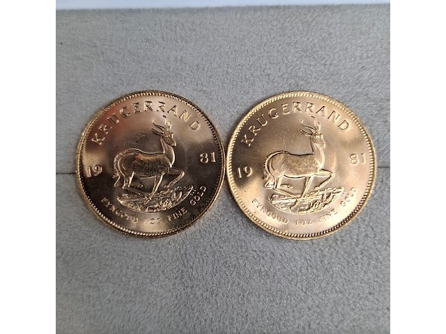 Ca. 10x gouden munt, south africa, krugerrand - afbeelding 5 van  9