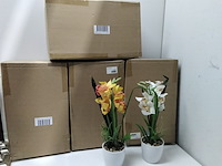 Ca. 10x levensechte orchidee in 2 kleuren - afbeelding 1 van  6