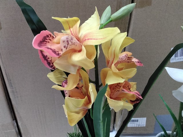 Ca. 10x levensechte orchidee in 2 kleuren - afbeelding 3 van  6