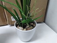 Ca. 10x levensechte orchidee in 2 kleuren - afbeelding 6 van  6