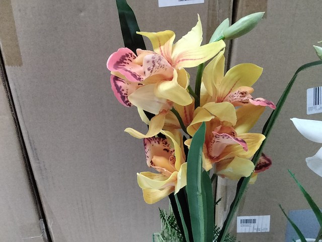 Ca. 10x levensechte orchidee in 2 kleuren - afbeelding 3 van  6