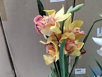 Ca. 10x levensechte orchidee in 2 kleuren - afbeelding 3 van  6