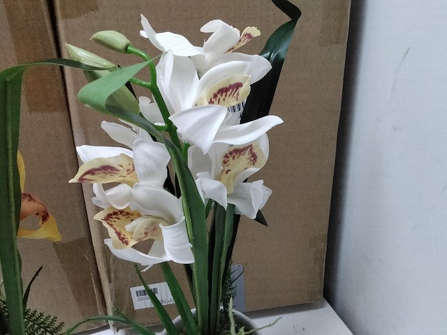 Ca. 10x levensechte orchidee in 2 kleuren - afbeelding 5 van  6