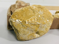 Ca. 11x fossielen uit marokko - afbeelding 6 van  6