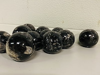 Ca. 11x orthoceras bollen - afbeelding 2 van  3