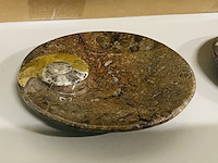 Ca. 12x ammoniet schaaltjes - afbeelding 2 van  4