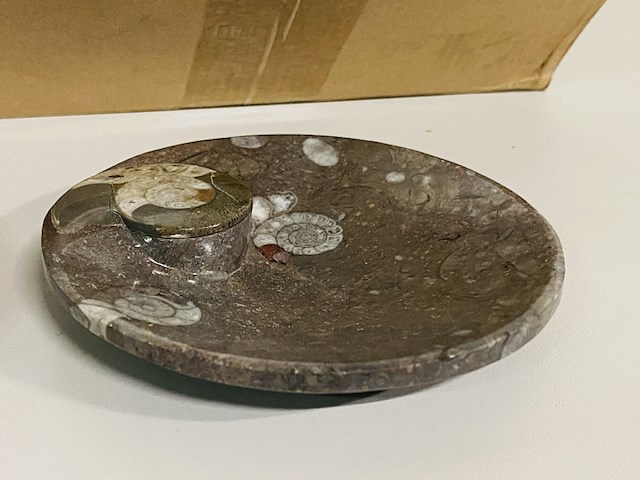 Ca. 12x ammoniet schaaltjes - afbeelding 3 van  4