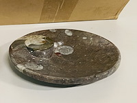 Ca. 12x ammoniet schaaltjes - afbeelding 3 van  4