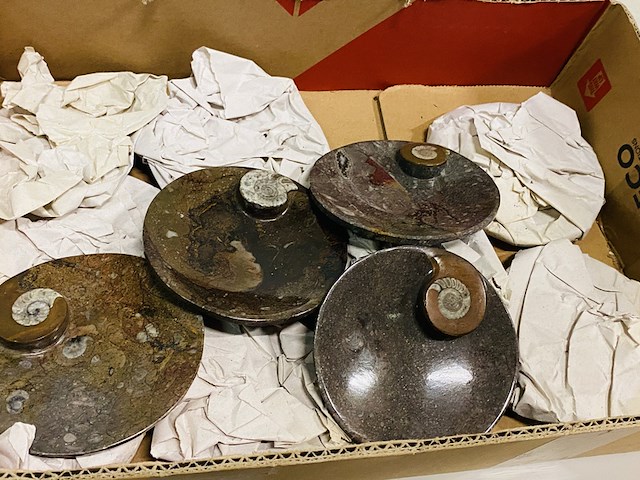 Ca. 12x ammoniet schaaltjes - afbeelding 4 van  4