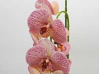 Ca. 12x kunstbloem - afbeelding 2 van  4