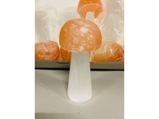 Ca. 12x seleniet paddestoelen - afbeelding 2 van  5