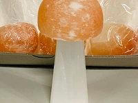 Ca. 12x seleniet paddestoelen - afbeelding 2 van  5