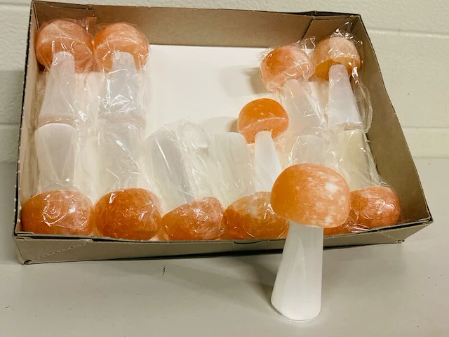 Ca. 12x seleniet paddestoelen - afbeelding 3 van  5
