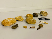 Ca. 12x set diverse fossielen - afbeelding 1 van  6