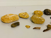 Ca. 12x set diverse fossielen - afbeelding 3 van  6