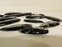 Ca. 13x orthoceras punten - afbeelding 3 van  4