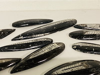 Ca. 13x orthoceras punten - afbeelding 4 van  4