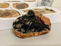 Ca. 13x versteend hout plakken - afbeelding 3 van  8