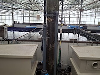 Ca. 13x vijverfilter, ma koi / mpf - afbeelding 2 van  68