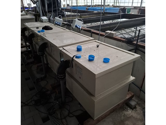 Ca. 13x vijverfilter, ma koi / mpf - afbeelding 29 van  68