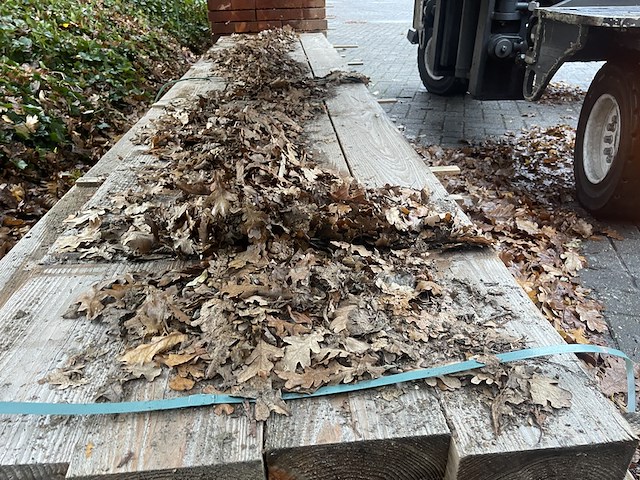 Ca. 14x douglas balken fijnbezaagd, 75x200mm, lengte 400cm - afbeelding 1 van  3