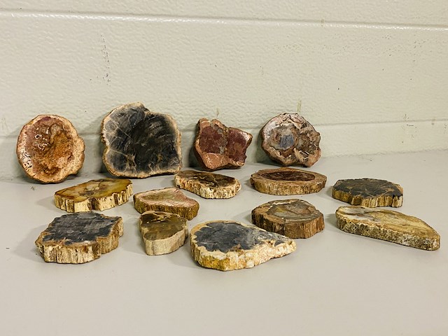 Ca. 14x versteend hout plakken - afbeelding 1 van  6