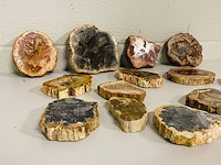 Ca. 14x versteend hout plakken - afbeelding 2 van  6