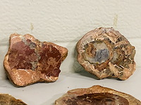 Ca. 14x versteend hout plakken - afbeelding 4 van  6