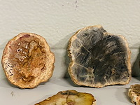 Ca. 14x versteend hout plakken - afbeelding 5 van  6