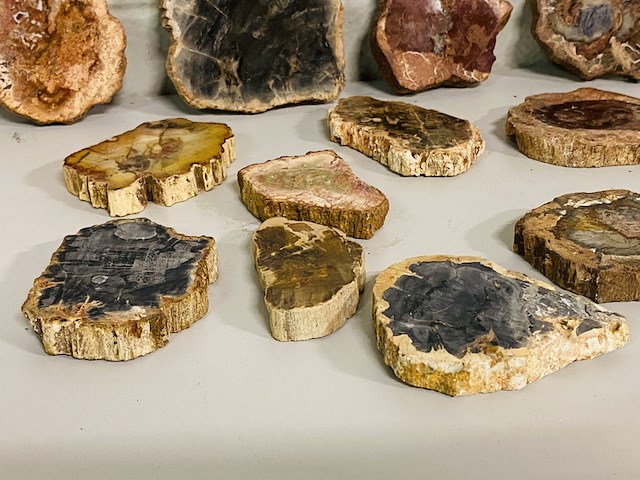 Ca. 14x versteend hout plakken - afbeelding 6 van  6