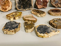 Ca. 14x versteend hout plakken - afbeelding 6 van  6