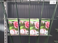 Ca. 14x wandspalier, trellis - afbeelding 2 van  5