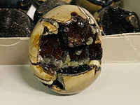 Ca. 15x wilde septarie geodes (handsteen) - afbeelding 3 van  8