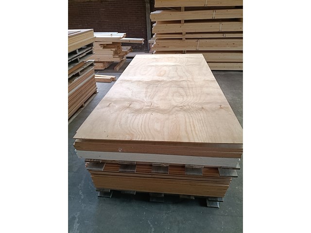 Ca. 16x multiplex platen - afbeelding 1 van  6