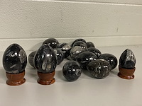 Ca. 16x orthoceras ei - afbeelding 1 van  4