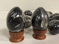 Ca. 16x orthoceras ei - afbeelding 2 van  4