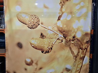 Ca. 17x decoratiepaneel - afbeelding 1 van  5